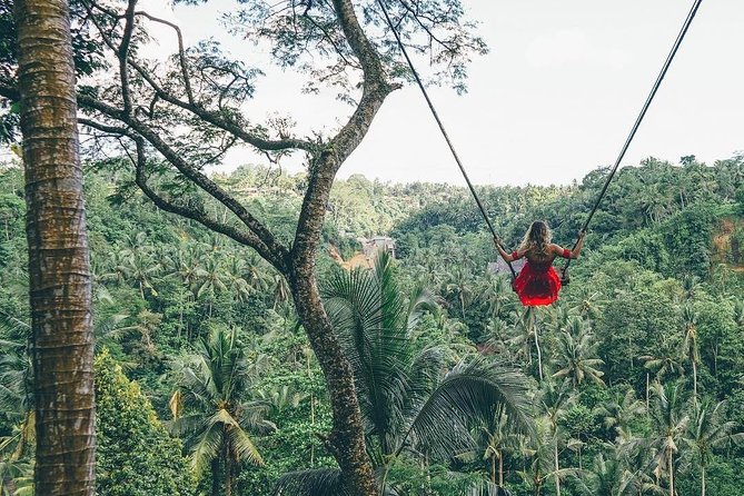 Bali Instagram Tour from Your Hotel (Private & Full-day) - Lempuyang Temple to Tirta Gangga: East Bali sets the mood