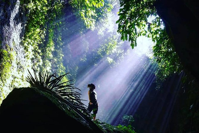 Bali Instagram Tour: Gate of Heaven, Swing and Waterfall Day Tour - Tegalalang rice terraces and Bali’s subak irrigation system