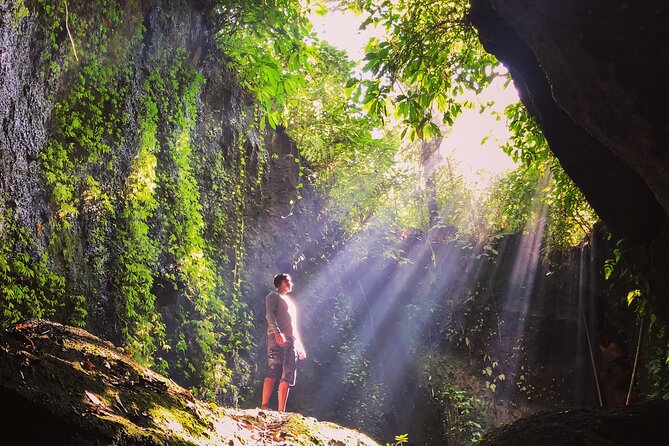 Bali Instagram Tour: Gate of Heaven, Swing and Waterfall Day Tour - Coffee tasting in the jungle: a small break that adds up