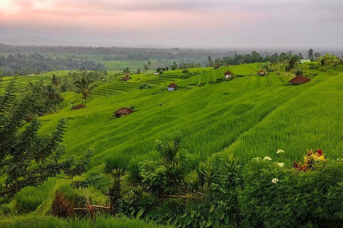 Bali Instagram Tour - Lempuyang Bali Gate of Heaven - What’s included in the price, and where costs can surprise you