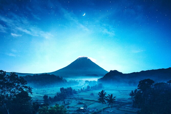 Bali Instagram Tour- Most Scenic Spots in Bali - Tunas Bali Luwak Coffee: Plantation Stop With a Different Kind of Scenery