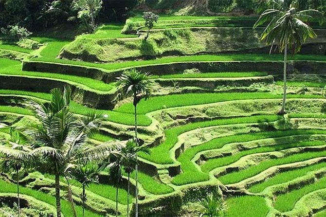 Bali Instagram Tour : The Most Popular Spots In Bali - Tukad Cepung Waterfall, where the light does the work