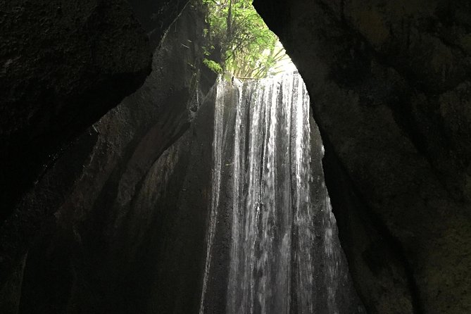 Bali Instagram Tour: The Most Popular Spots ( Private All-Inclusive ) - Who this private Bali photo route suits best