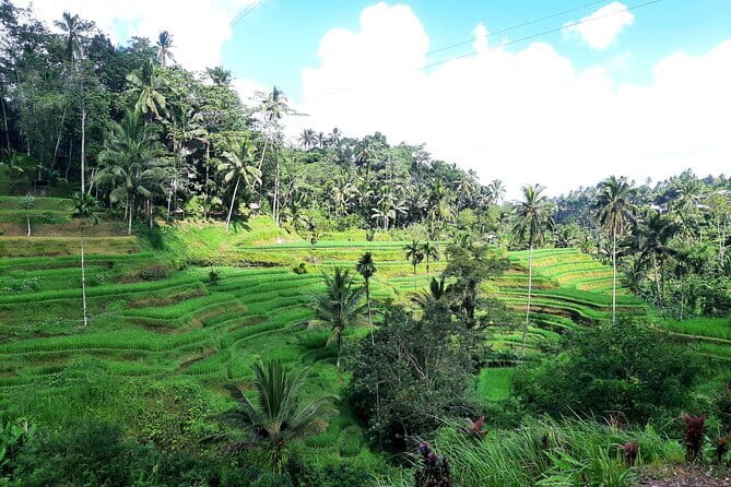 BALI INSTAGRAM TOURS; Heaven Gate, Tirta Gangga, Tukad Cepung waterfall - The big secret: why private time makes these photos better