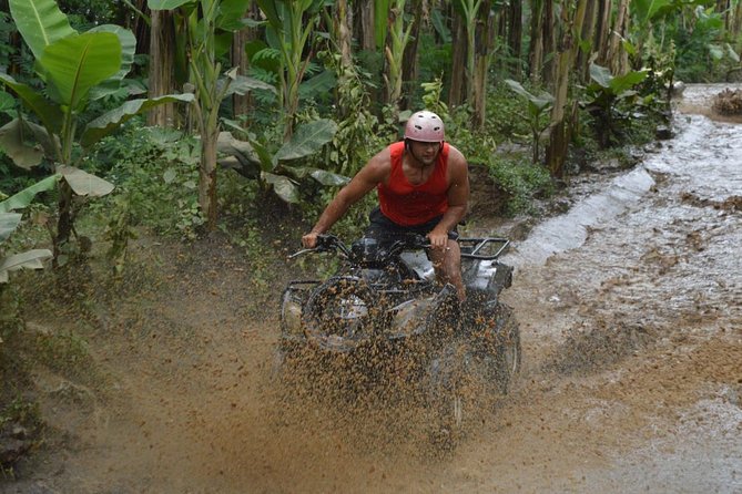 Bali Jungle ATV Quad Bike - Price and value: what $40 really buys you