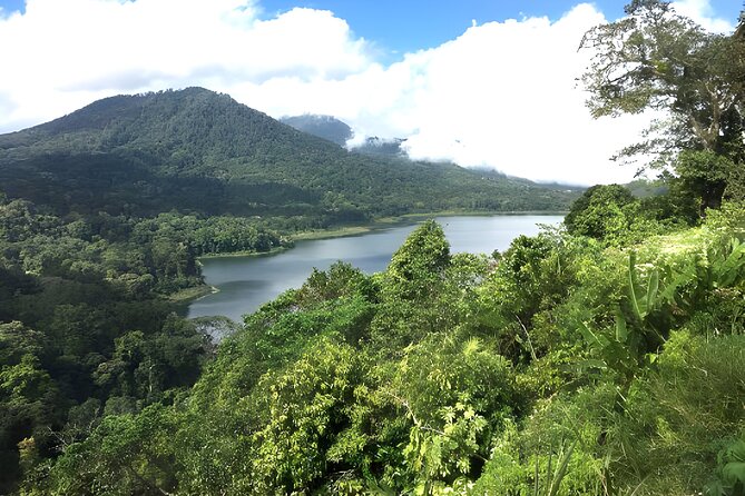 Bali Jungle Trekking in Beautiful Rainforest - Why Tamblingan and Buyan Lake Day Trips Feel Quieter Than Coast Bali