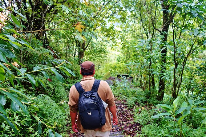Bali Jungle Trekking in Beautiful Rainforest - Stop at Tamblingan Lake: Admission Ticket Included and a Real Break