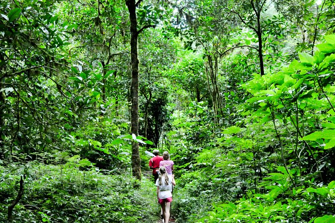 Bali Jungle Trekking in Beautiful Rainforest - Pickup from Seminyak and South Bali, Plus a Driver Who Keeps the Day Moving