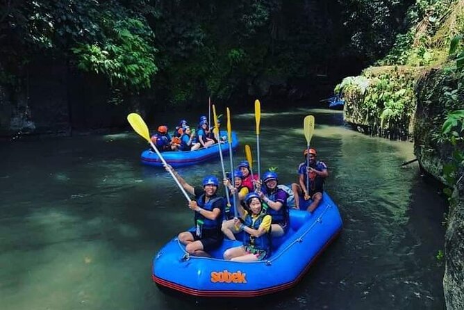 Bali Jungle White Water Rafting Adventure - Ayung River Rapids In Ubud: The Real Pace Of Class II to III