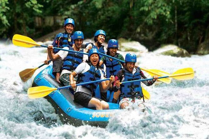 Bali Jungle White Water Rafting Adventure - Gear Up Properly: Helmet, Life Jacket, and Staying Dryish