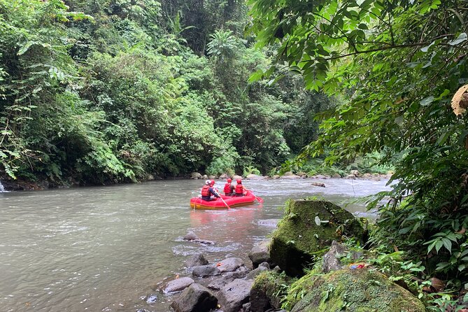 Bali Jungle White Water Rafting Adventure - The Ayung Jungle Route: Waterfalls, Temples, and That Filtered Light