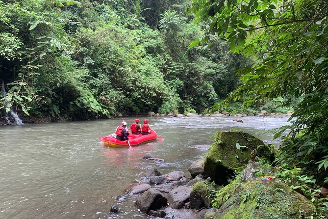 Bali Jungle White Water Rafting Adventure - Steps Down and Back Up: The One Physical Challenge People Forget