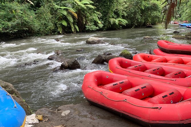 Bali Jungle White Water Rafting Adventure - Price and Value for $51.29: What You Actually Get