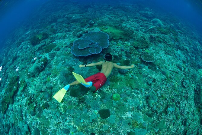 Bali Lembongan Island Beach Club Day Trip - Mushroom Bay and the Village Excursion: Local Color With Limited Time