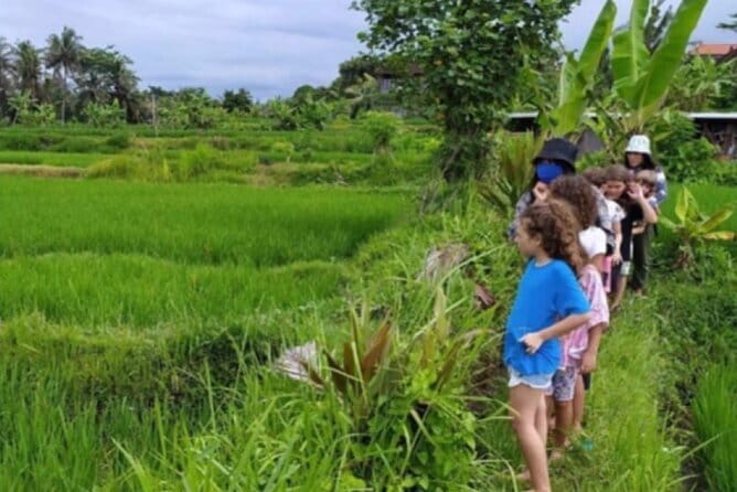 Bali: Lempuyang Temple, Waterfall & Rice Terrace Private Tour - Tegallalang Rice Terrace Walk and the Subak Irrigation System