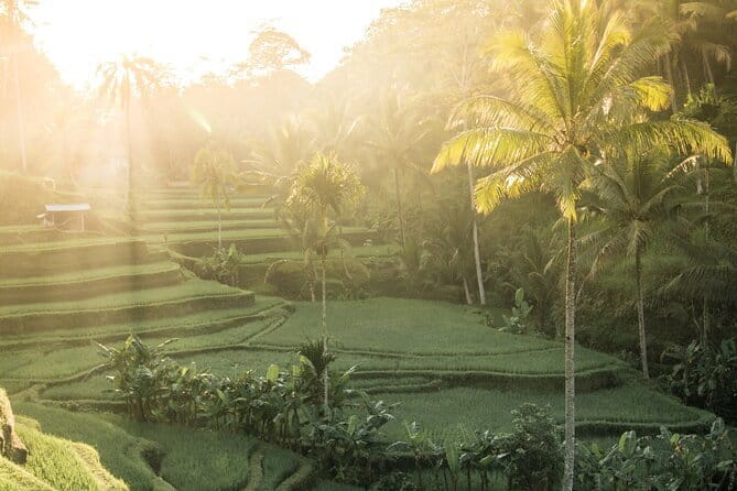Bali: Lempuyang Temple, Waterfall & Rice Terrace Private Tour - Lempuyang Temple Gate of Heaven, Mount Agung Views, and Photo Angles That Actually Work