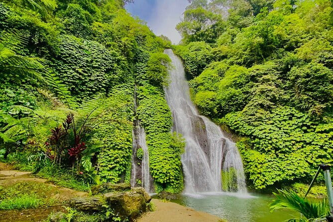Bali Lempuyang Temple, Waterfall with Rice Terrace Tour - Stop 5: Tegalalang rice terraces and UNESCO Subak irrigation