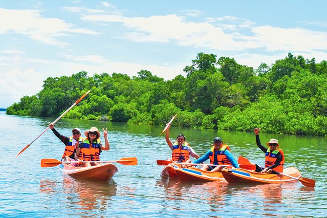 Bali Mangrove Canoeing Tour - Getting started: pickup, briefing, and a quick reset