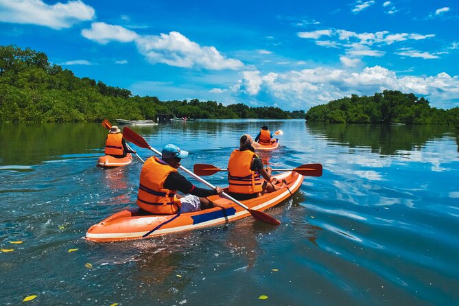 Bali Mangrove Canoeing Tour - PT JTB Indonesia office stop: why it’s more than a formality
