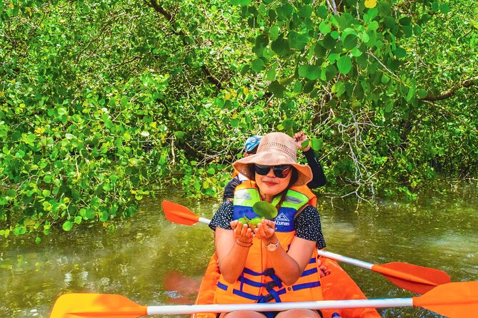 Bali Mangrove Canoeing Tour - Price and value: what you get for about $61.54
