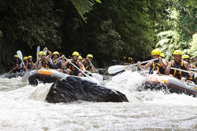 Bali Mason Adventure White Water Rafting - Stop 1 on the Ayung: what the rafting day feels like from the start