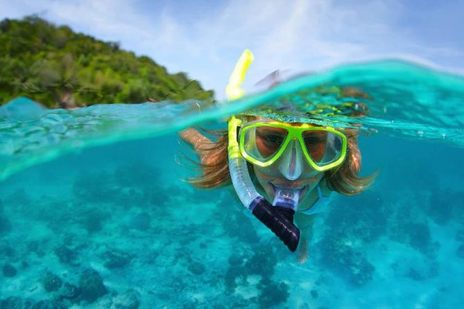 Bali Menjangan Island Snorkeling Day Tour - Door-to-door Transfers from Ubud and Kuta: Time Saved, Stress Reduced