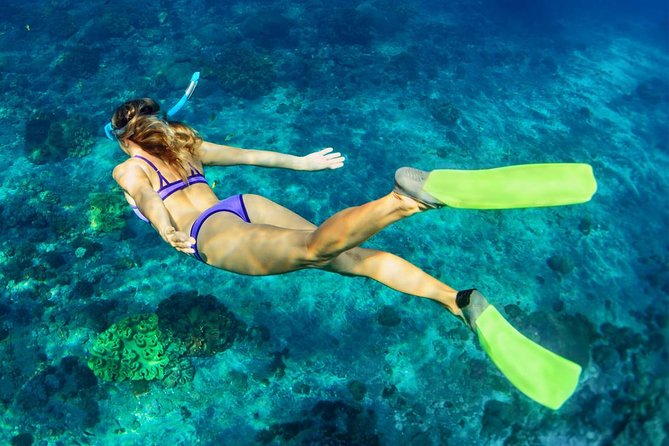 Bali Menjangan Island Snorkeling Day Tour - Menjangan Island Snorkeling: Small-Group Reef Time with Included Fees