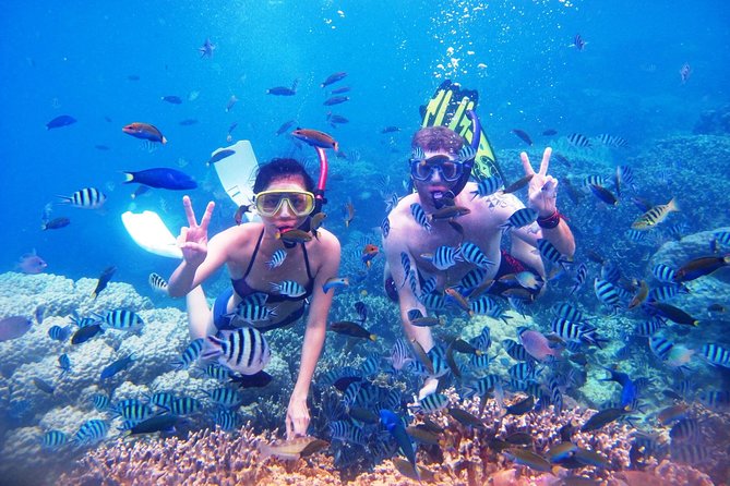 Bali Menjangan Island Snorkeling Day Tour - Who This Tour Fits Best (and When to Skip)