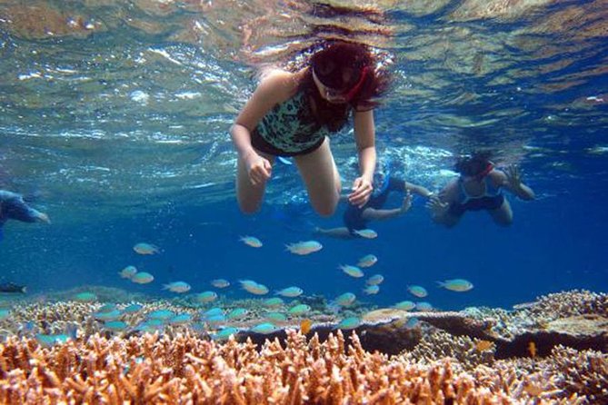 Bali Menjangan Island Snorkeling Day Tour - Kuta Beach Stop: A Route Moment Before the Island Time