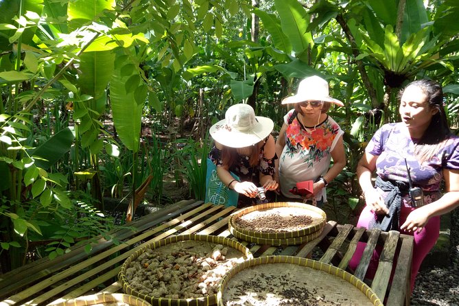 Bali Night Market Experience and Ubud Highlights tour - Tegalalang Rice Terraces and Luwak coffee sampling