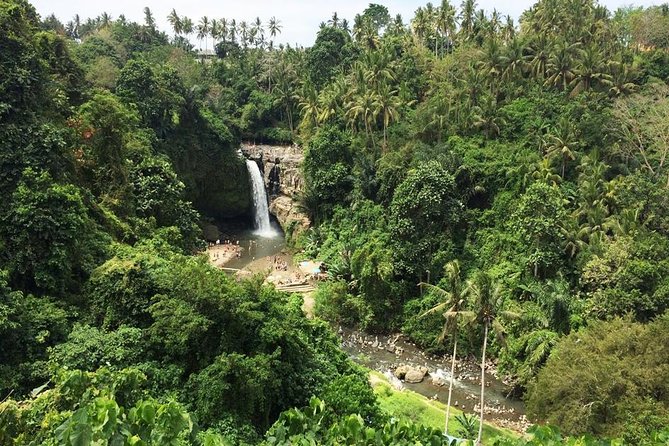 Bali Night Market Experience and Ubud Highlights tour - Transportation and timing: planning for an 8 to 10 hour day