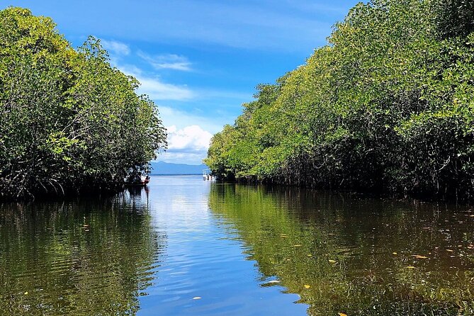 Bali Nusa Lembongan Islands Private Tour - All Inclusive - Itinerary walkthrough: mangrove ecosystem to Yellow Bridge to beach-and-rock views