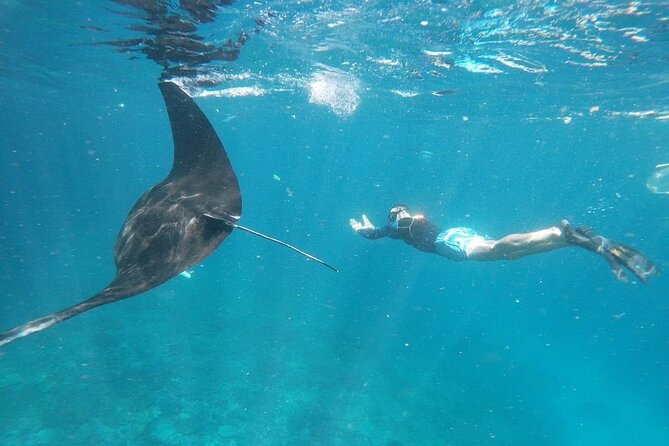 Bali Nusa Penida and Private Snorkeling (Manta Bay, Gamat, Wall) - Key highlights you’ll feel all day