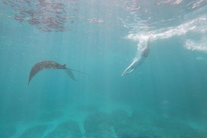 Bali Nusa Penida and Private Snorkeling (Manta Bay, Gamat, Wall) - Kuta to Nusa Penida: the early start that pays off