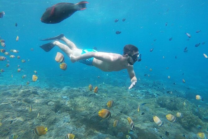 Bali Nusa Penida and Private Snorkeling (Manta Bay, Gamat, Wall) - Jellyfish, currents, and “what to bring” for a smoother day