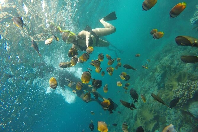 Bali Nusa Penida and Private Snorkeling (Manta Bay, Gamat, Wall) - Timing and pacing: how the 10 hours tend to feel