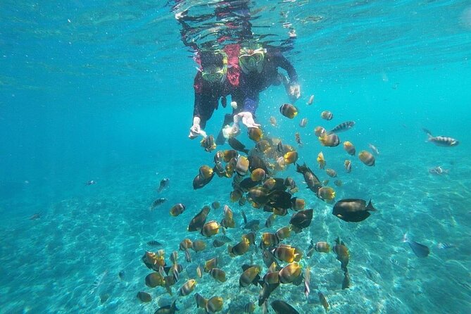 Bali Nusa Penida and Private Snorkeling (Manta Bay, Gamat, Wall) - Lunch and small comforts: included, and it helps