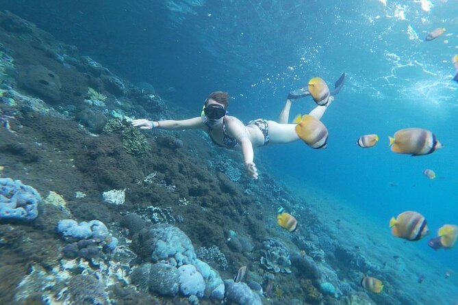 Bali Nusa Penida and Private Snorkeling (Manta Bay, Gamat, Wall) - Price and value at $145: private water time plus big-name sights