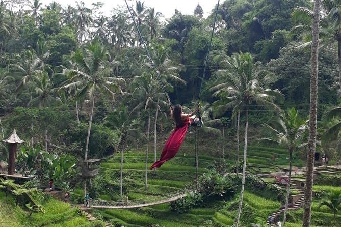 Bali Private 3 Days Tour Package Highlight - Guides Like Putu and Gede, Plus How Private Tours Make Bali Easier