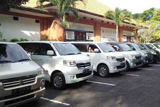 Bali Private Car and Customize Tour With English Speaking Driver - Price and value: what you pay $29 for, and what you will still budget