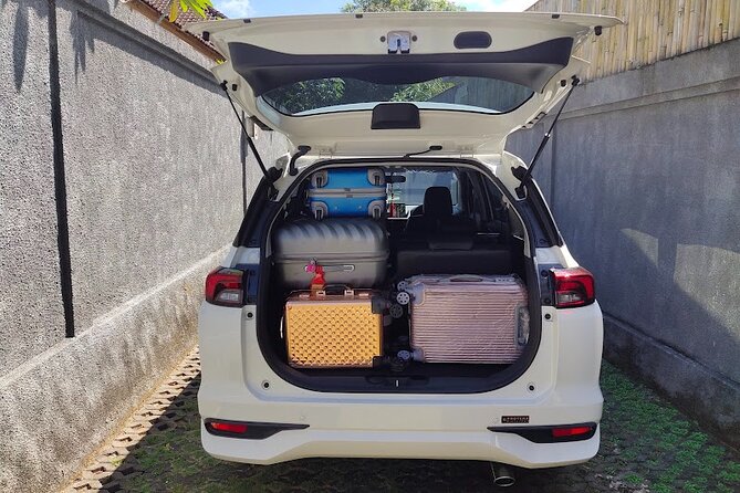 Bali Private Car Charter & Customize Tour With Driver English Speaking-Free WiFi - Price and logistics: what you pay, what you should plan for