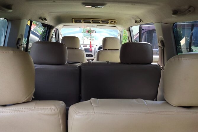 Bali Private Car Charter & Customize Tour With Driver English Speaking-Free WiFi - Timing, weather, and how to pace your day