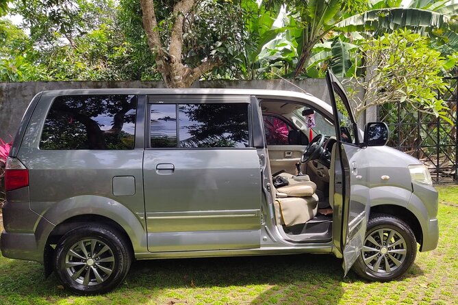 Bali Private Car Charter & Customize Tour With Driver English Speaking-Free WiFi - Who should book this private charter from Seminyak