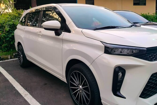 Bali Private Car Charter & Customize Tour With Driver English Speaking-Free WiFi - Your full-day route: Ubud classics plus south-coast highlights
