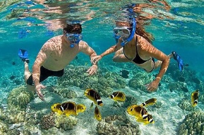Bali Private Car Charter Tour with English Speaking Driver - Price and value: what $9 per person really means for planning