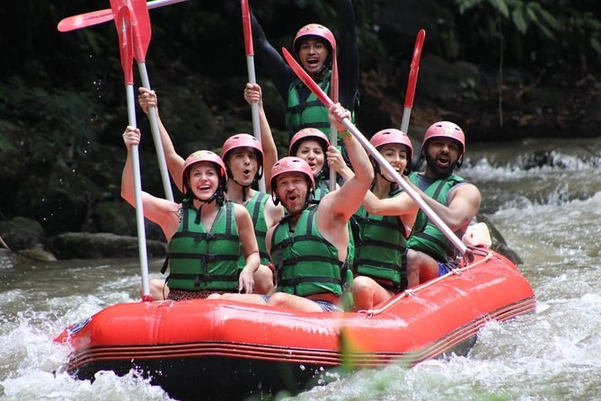 Bali Private Car Charter Tour with English Speaking Driver - Waterfall options near Ubud, from Tegenungan to Tukad Cepung