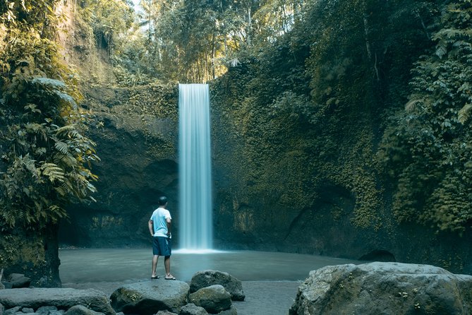 Bali Private Car Charter With English Speaking Driver - Ubud Art, Shopping, and Culture Stops You Can Shape