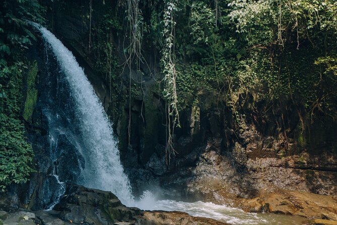 Bali Private Car Full Day Customized Tour With Drone Service - Aloha Ubud Swing, Kintamani, and Penglipuran: Photos, Views, and a Different Kind of Quiet