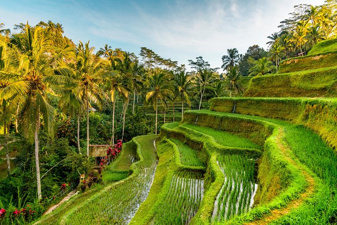 Bali Private Car Hire with Driver - Who should book this Bali SUN Tours car hire, and who should skip it