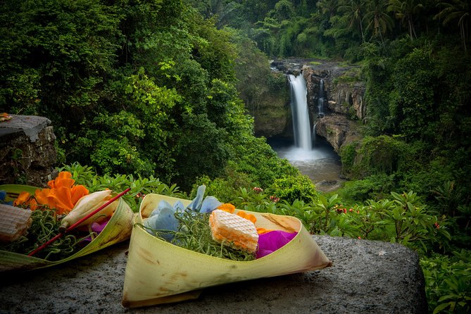 Bali Private Car Hire with Driver - Should you book this private driver day in Ubud?